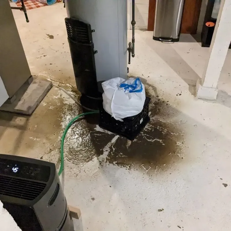 Sewage Backup Cleanup Service in Buena Vista County, IA